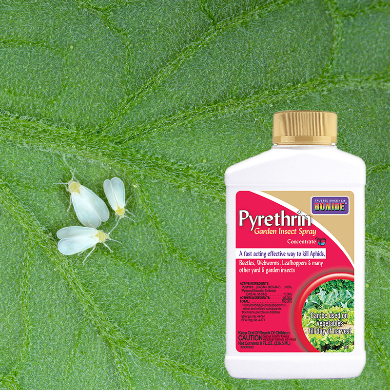 Product Image of Pyrethrin Garden Insect Spray 8oz concentrate