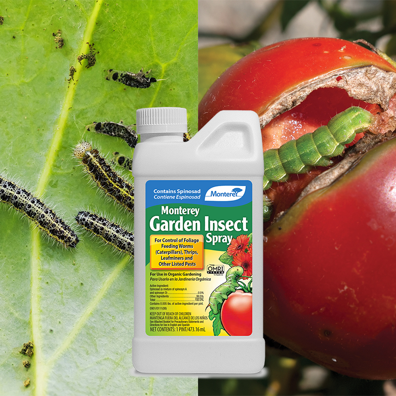Garden Insect Spray 16oz concentrate
