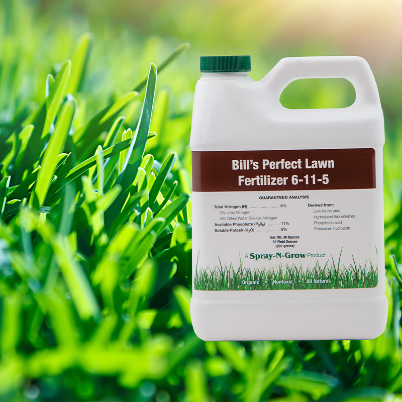 Bill's Perfect Lawn Fertilizer 6-11-5 32oz concenrate