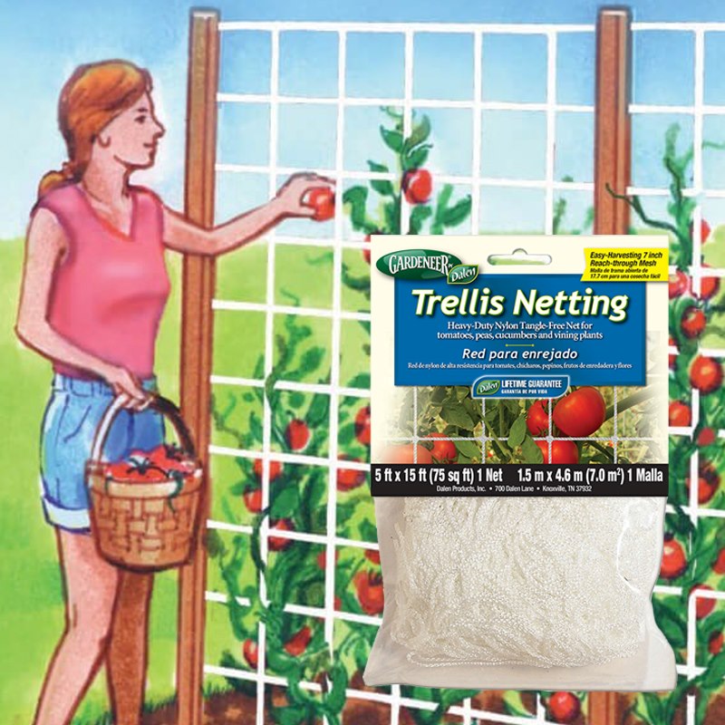 Product Image of Trellis Netting  5' x 30'