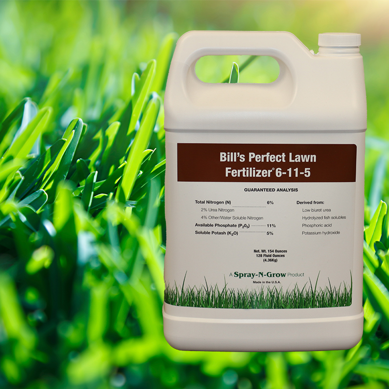 Bill's Perfect Lawn Fertilizer 6-11-5 gallon concenrate