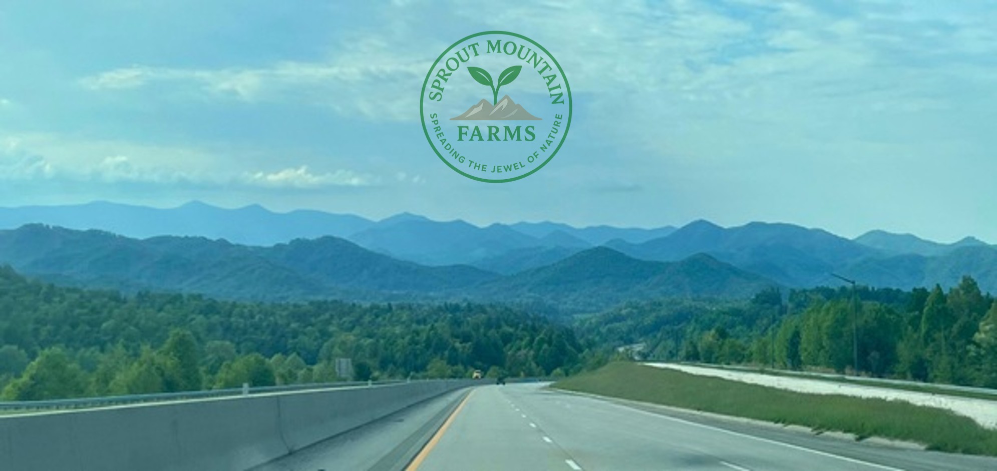 Our favorite Blue Ridge View (I26 due southeast toward Asheville)