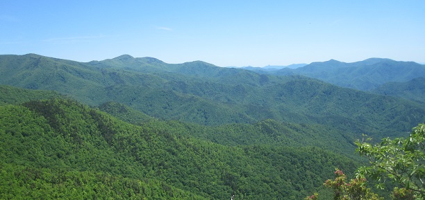 Sprout Mountain