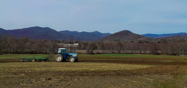 Sprout Mountain Farms Lineage