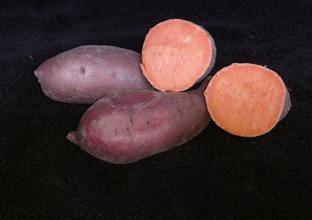 Sweet Potato Slips - OG Bayou Belle