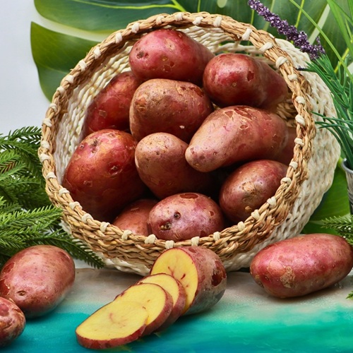 Organic French Fingerling