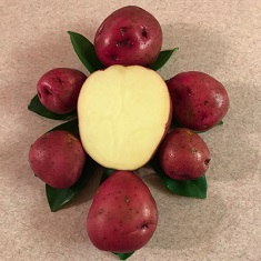 Organic Red Johnny
