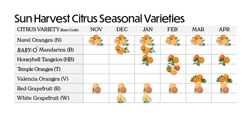 Sun Harvest Citrus Seasonal Varieties