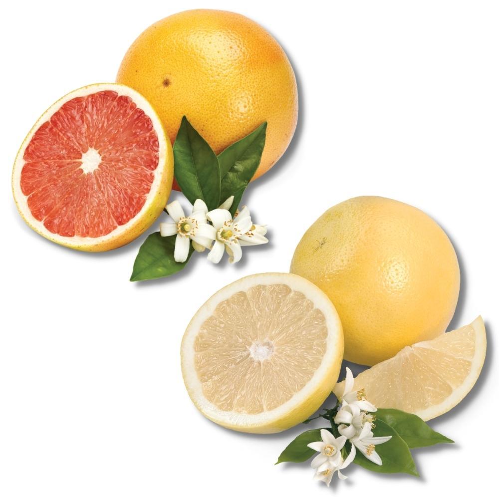 Red and White Grapefruit