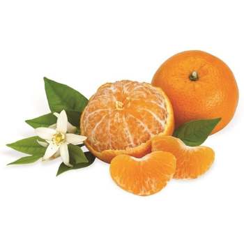 Product Image of Baby-O Mandarins