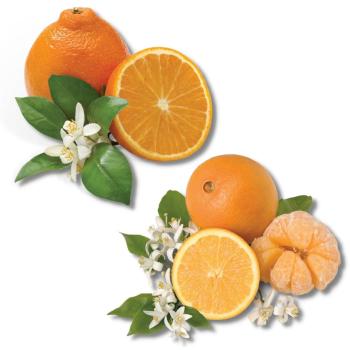 Product Image of Honeybells and Navels