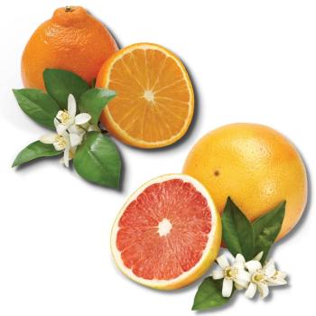 Product Image of Honeybells and Red Grapefruit