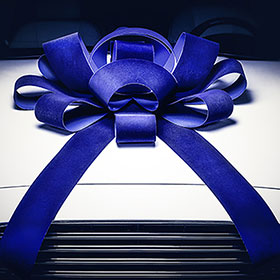 30 inch Velvet Bow - Blue