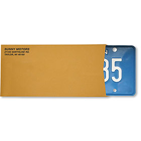 Imprinted License Plate Envelopes (500)