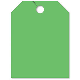 Blank Rear View Mirror Tags - Fluorescent Green